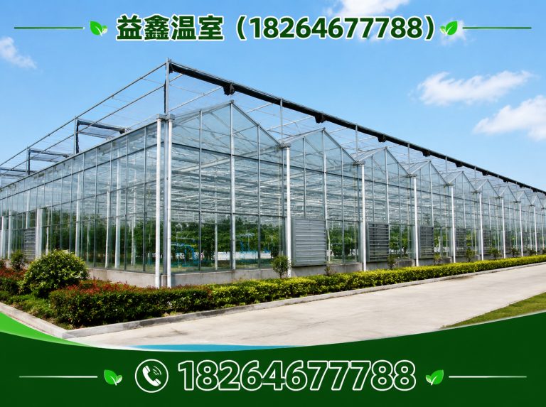 潍坊无土栽培大棚展示图